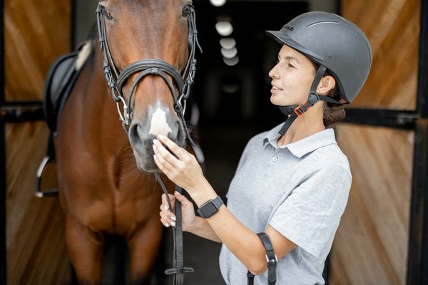 Produit pour cheval de sport : les éléments à prioriser pour son alimentation